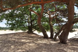 stoelendansen_blog_zandverstuiving_harde